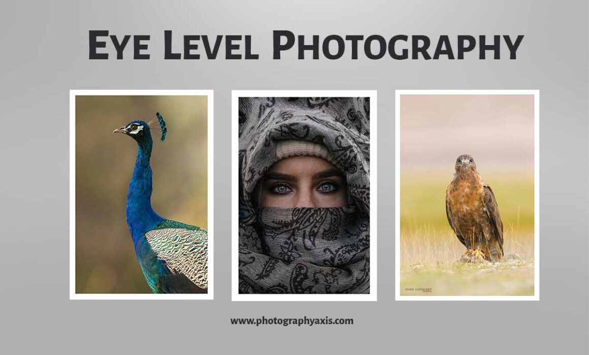 Eye Level Photography