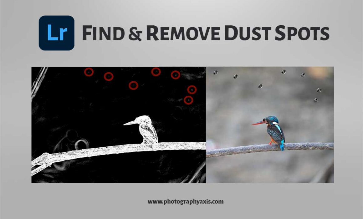Find and Remove Dust Spots in Lightroom