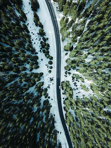 Forest photography from birds eye view