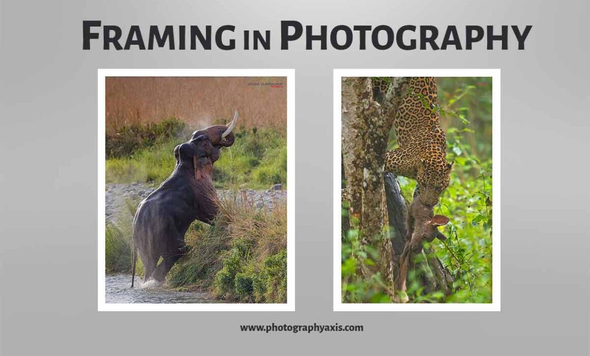Framing in Photography