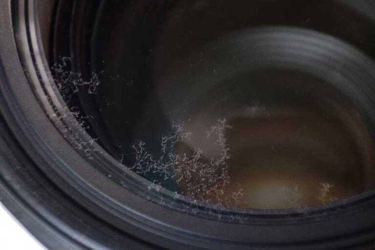 Camera Lens Fungus How to AVOID/ REMOVE/ CLEAN It? PhotographyAxis