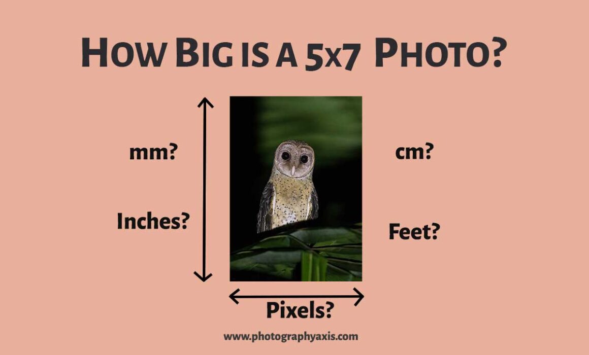 How Big is a 5x7 Photo