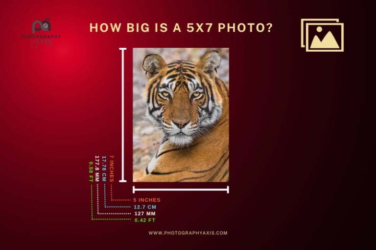 How Big is a 5×7 Photo? (mm, cm, Inch, Ft, Pixels) PhotographyAxis
