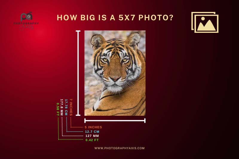 How Big is a 5x7 Photo
