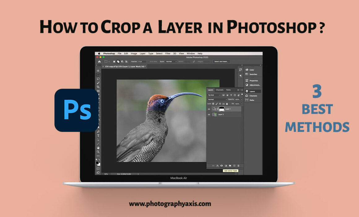 How to crop a layer in Photoshop