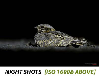 ISO Range for Night Photography