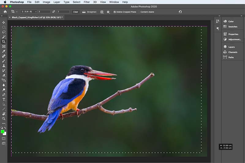 Image Crop in Photoshop
