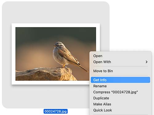 Image Properties in Mac