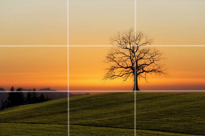 Rule Of Thirds Landscape