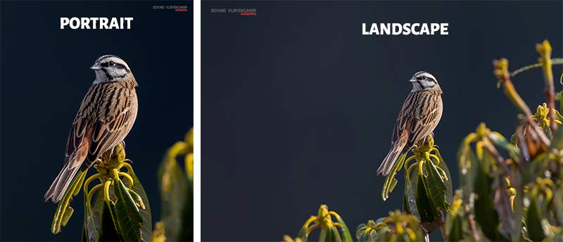 Landscape vs portrait orientation