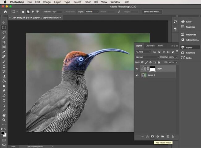 How to Crop a Layer in Photoshop – 3 Best Methods - PhotographyAxis