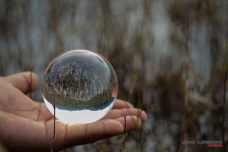 Lens Ball Refraction Photography