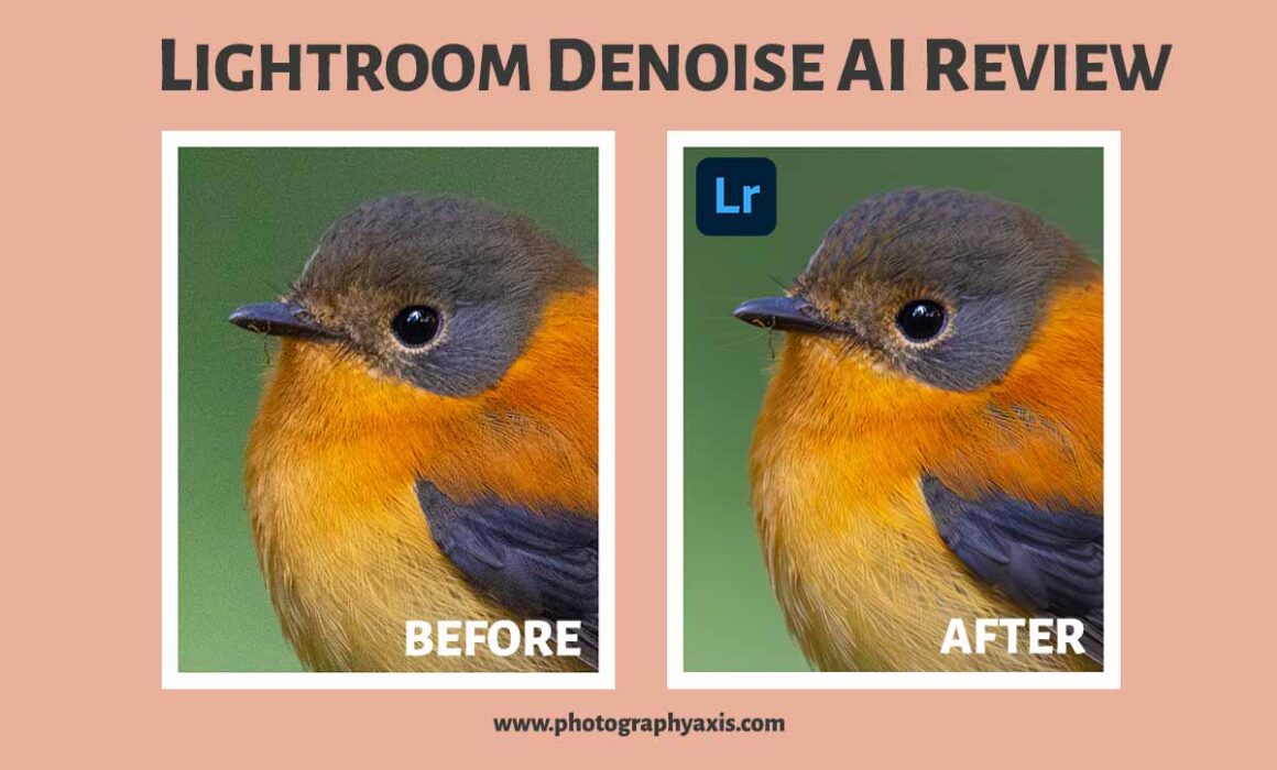 Lightroom DeNoise AI Review