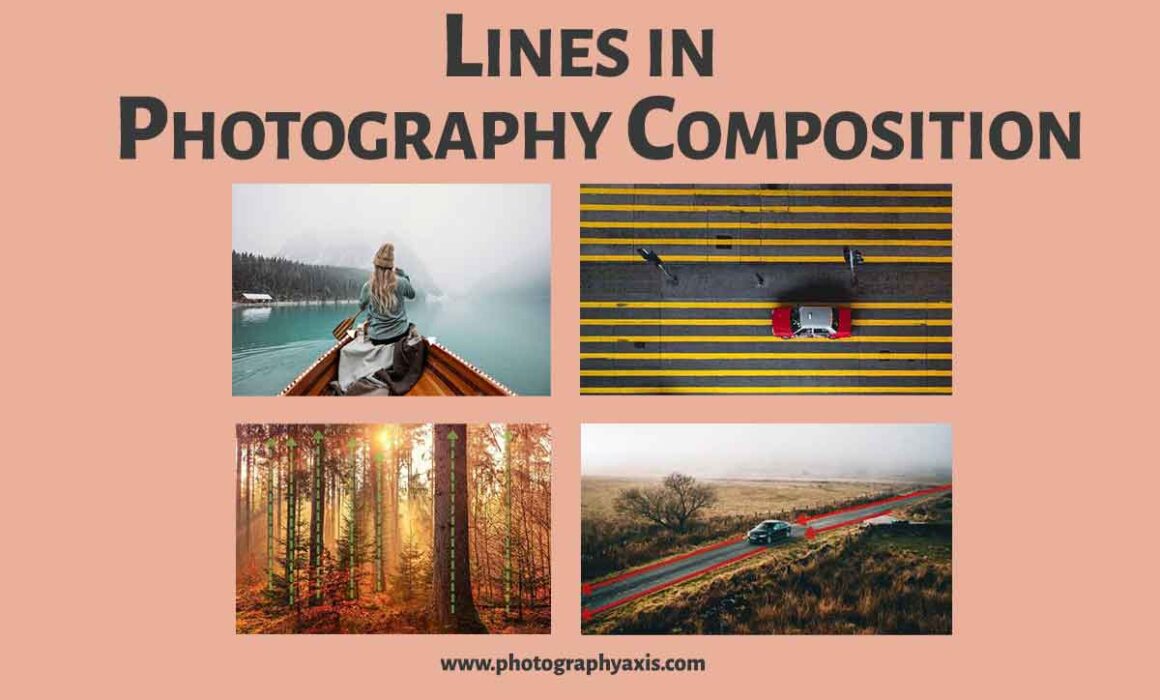 Lines in Photography Composition