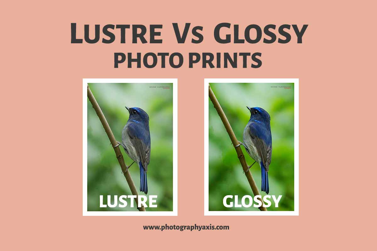 Glossy vs Matte Photos for Framing? (Best Photo Paper)