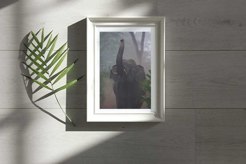 Lustre framed print-No reflection