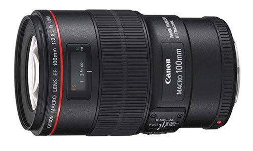 Macro Lens-Canon 100mm