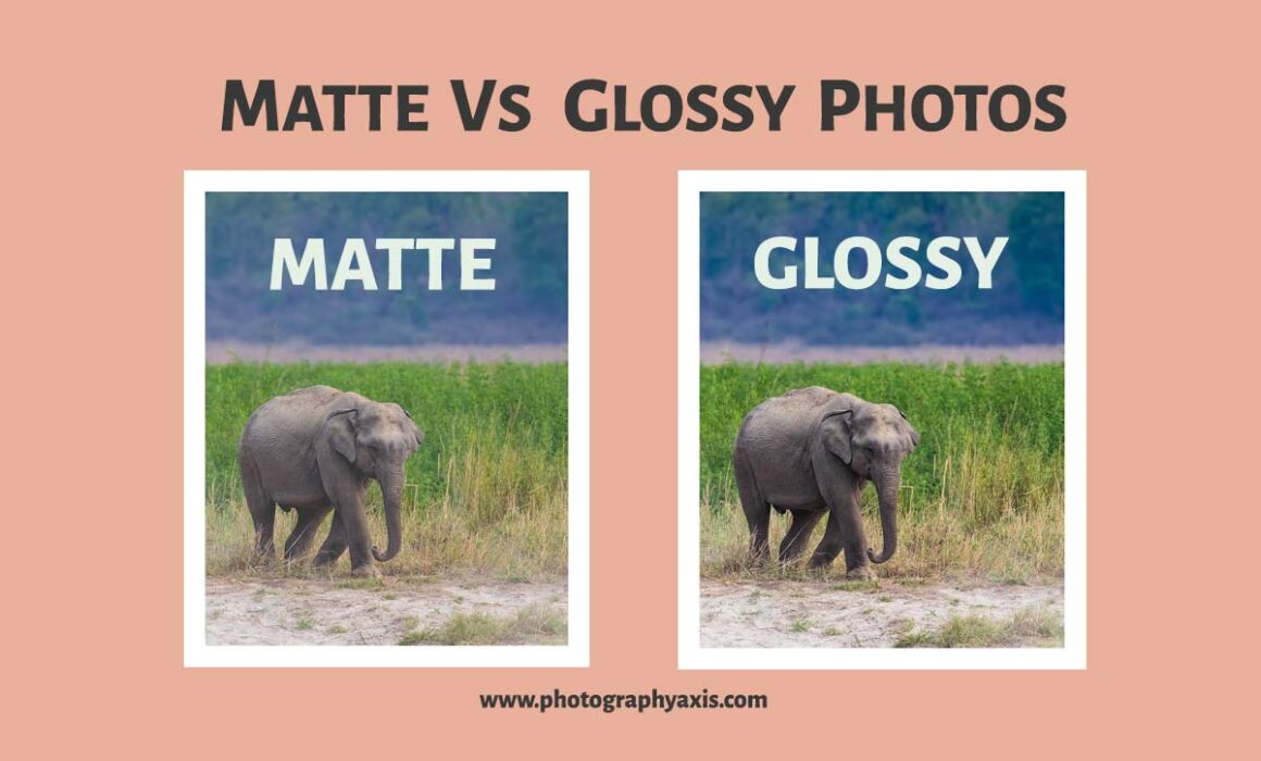 Matte Vs Glossy Photos