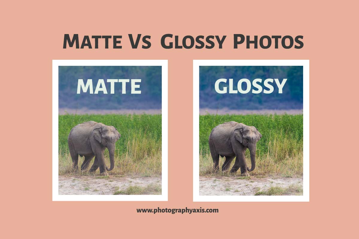 timer Allemaal alarm Matte Vs Glossy Photos – Which is Best For You? - PhotographyAxis