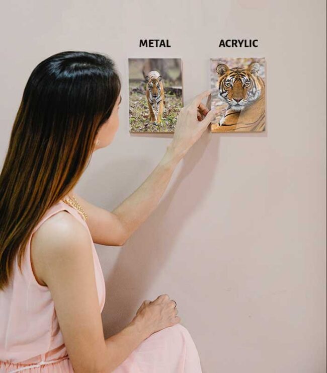 Acrylic Vs Metal Prints14 Key Differences PhotographyAxis