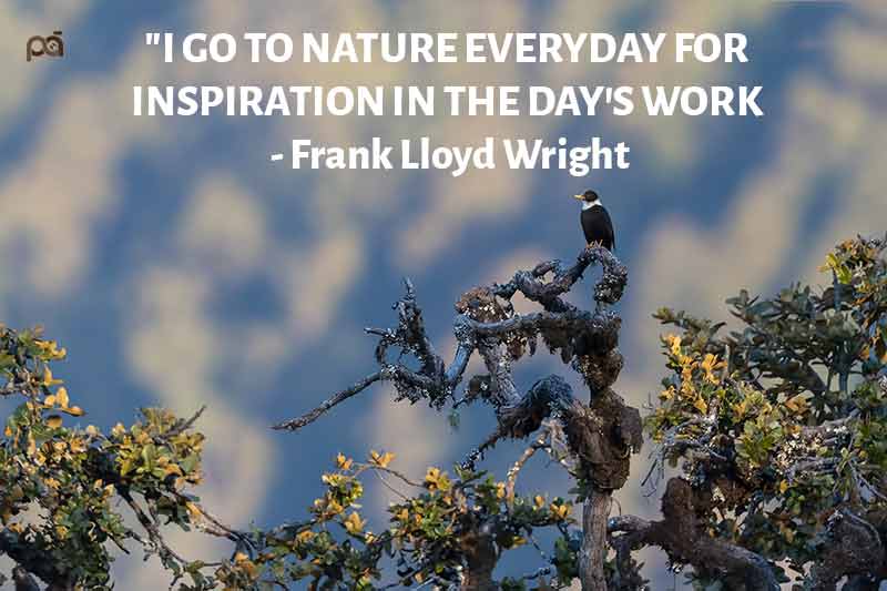 Nature photography Quote
