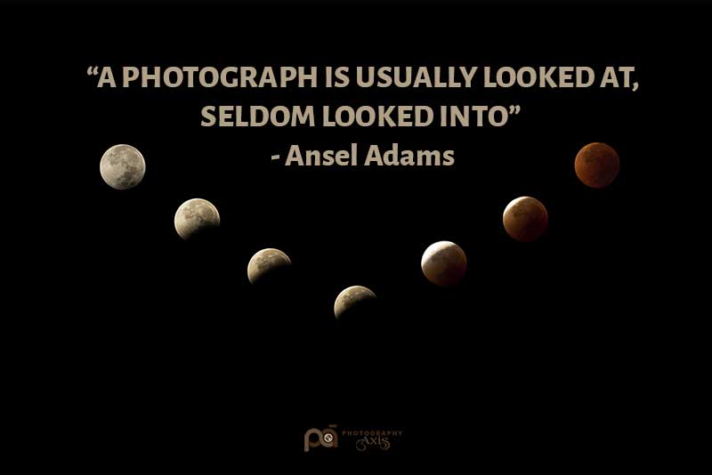 Nature photography quote with image