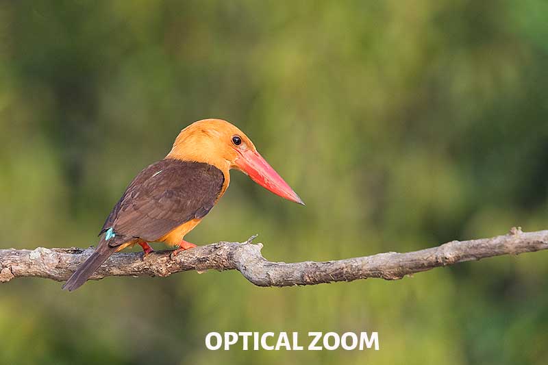 Optical Zoom in Photography