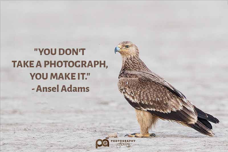 Photography and Nature Quotes