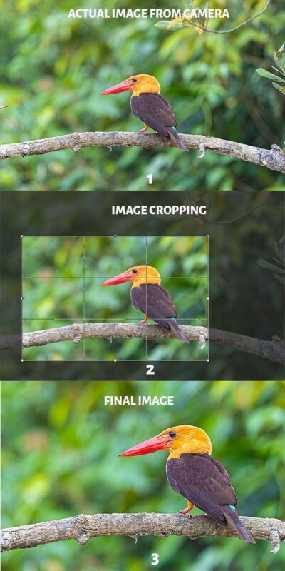 Poor vs Good Composition in Photography