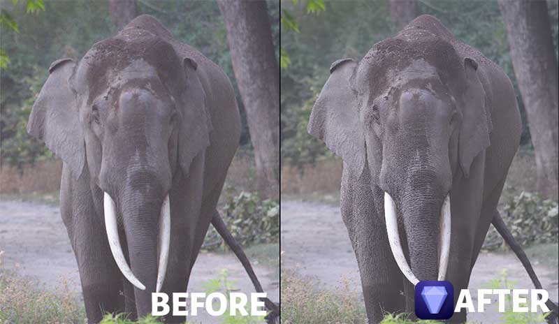 Raw Image-Before After