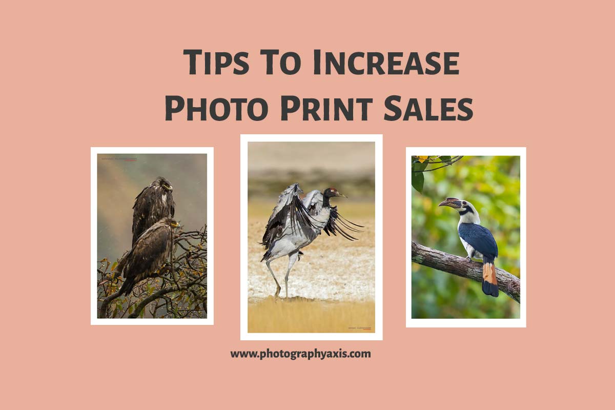 14 Proven Methods to Increase Photo Print Sales PhotographyAxis