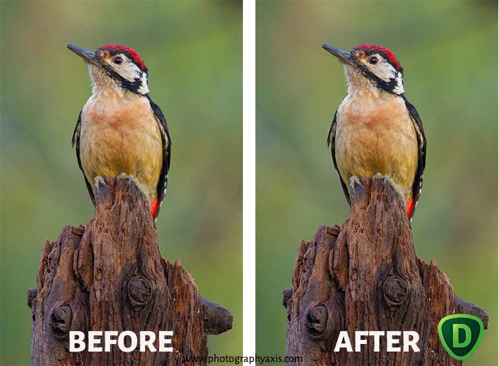Topaz Denoise AI Before After Image- TIFF Image