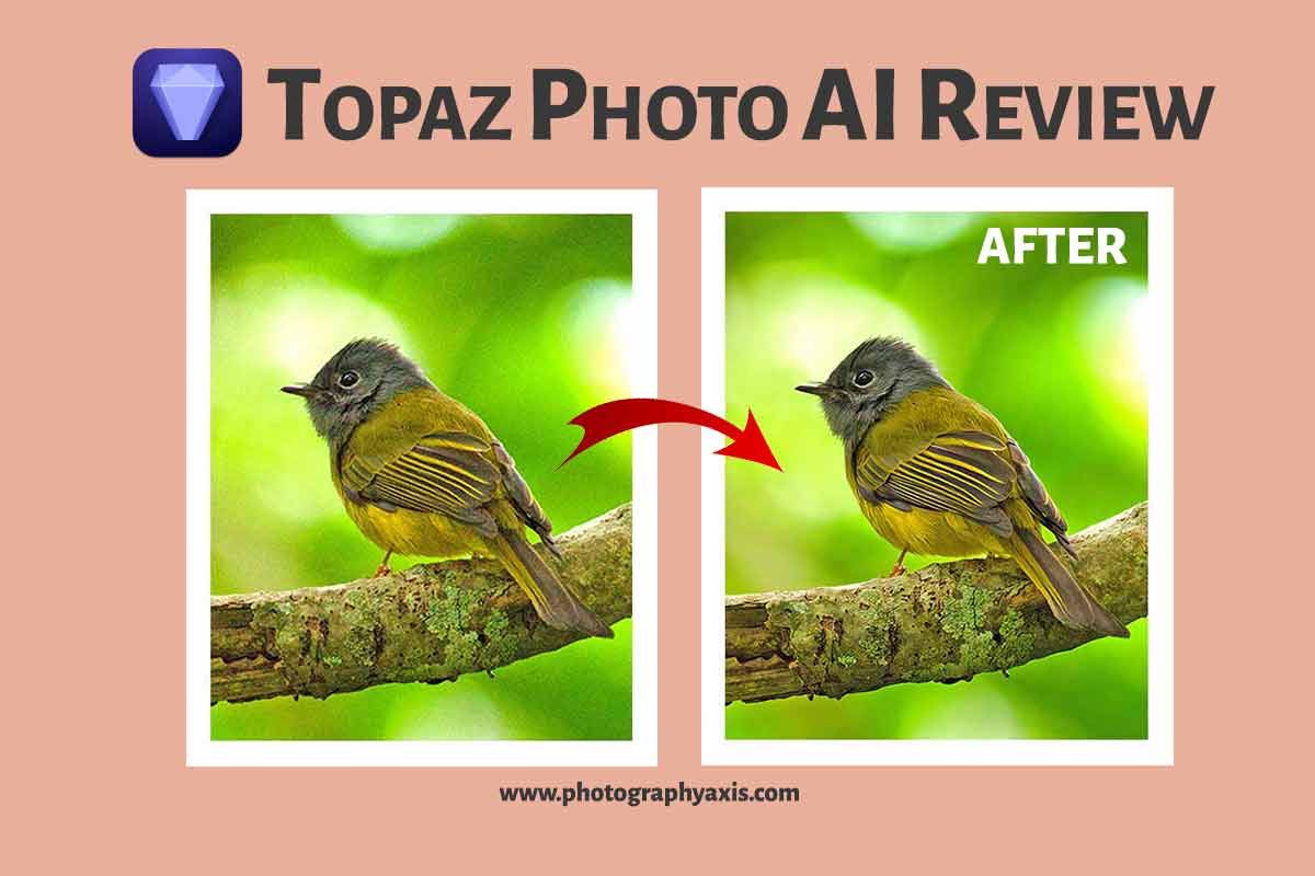 Topaz Photo Ai Review With Before/after Images[2023] - Photographyaxis