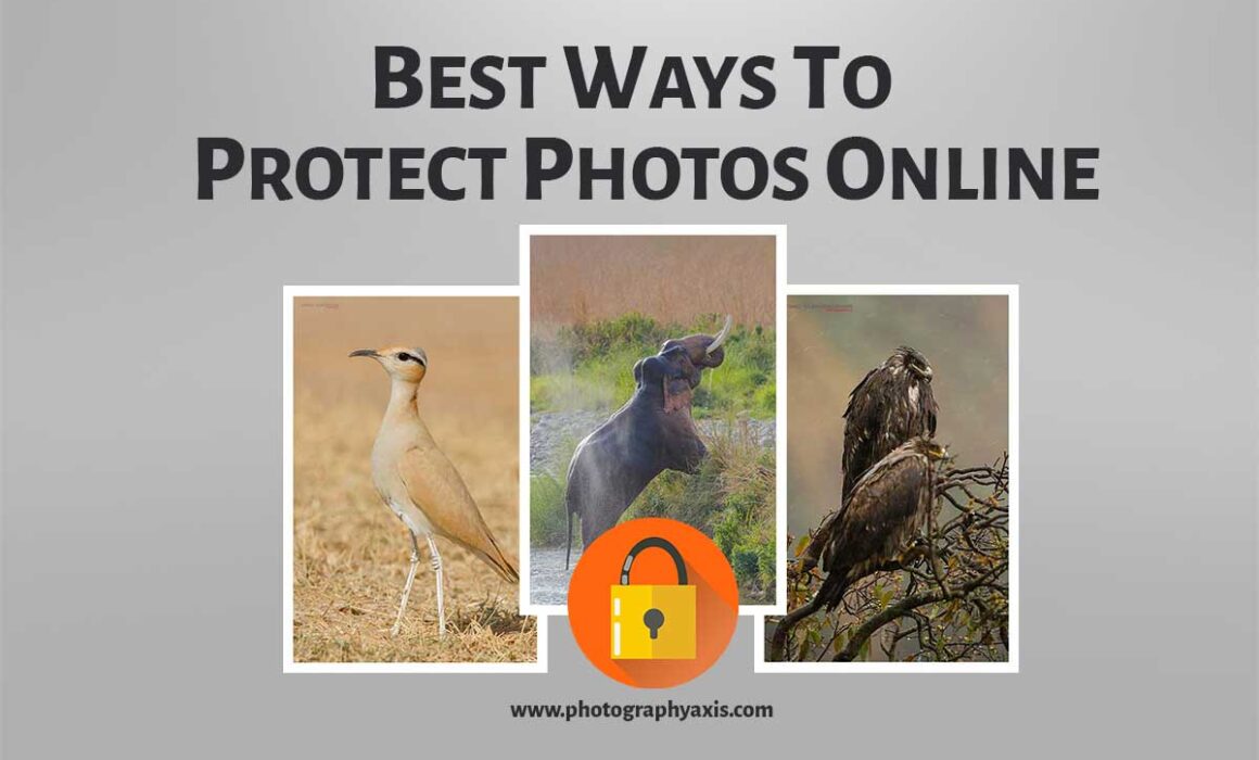 How to Protect Your Photos Online
