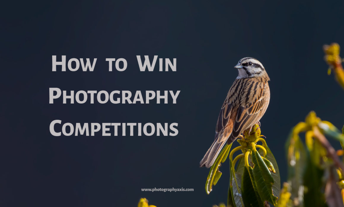 Winning Photography Competitions