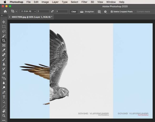 How to Crop a Layer in Photoshop – 3 Best Methods - PhotographyAxis