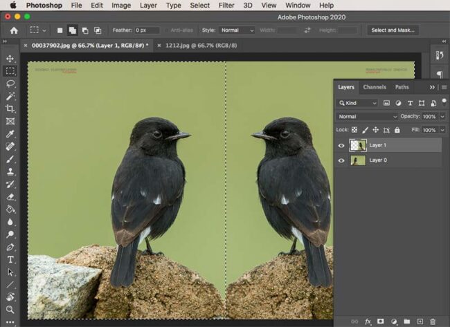 How to Crop a Layer in Photoshop – 3 Best Methods - PhotographyAxis